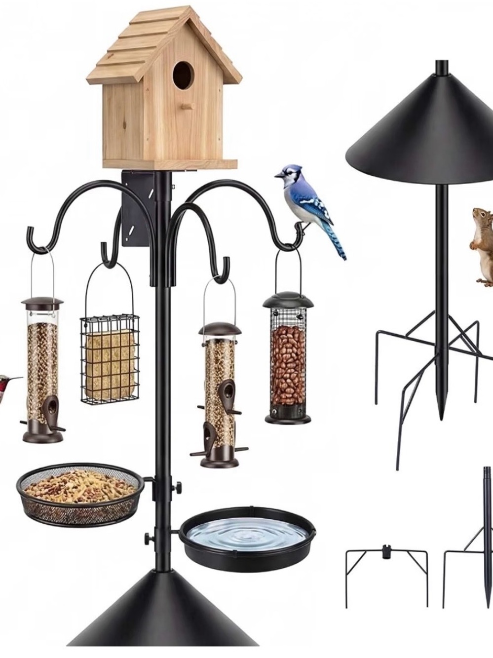 Bird Feeder Pole with Squirrel Baffle
